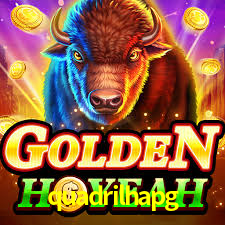 quadrilhapg App Interface